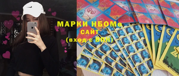 apvp Болотное