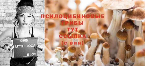 молекула духа Болхов