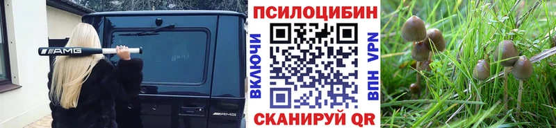Псилоцибиновые грибы прущие грибы  Володарск 